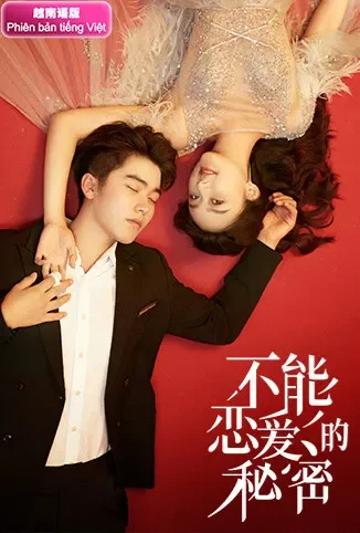 不能恋爱的秘密 越南语版电视剧海报