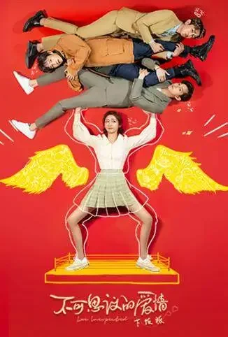 不可思议的爱情 下饭版电视剧海报