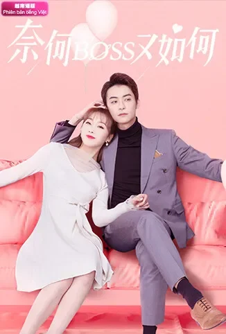 奈何BOSS又如何 越南语版电视剧海报