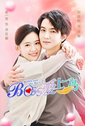 Boss爱上鸟电视剧海报