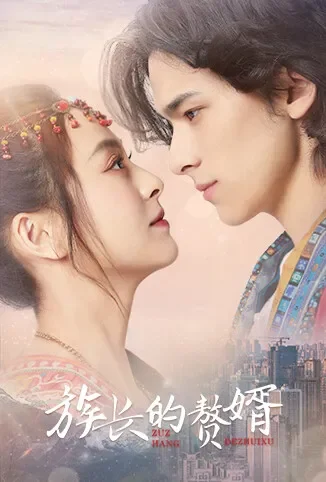 族长的赘婿电视剧海报
