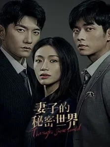 妻子的秘密世界电视剧海报