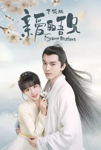 亲爱的吾兄 下饭版电视剧海报