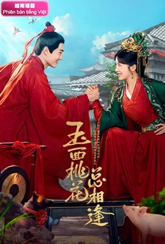 玉面桃花总相逢 越南语版电视剧海报
