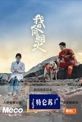 我的人间烟火电视剧海报
