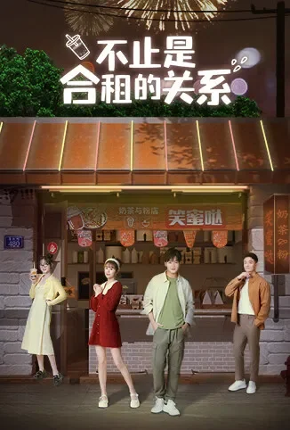 不止是合租的关系电视剧海报