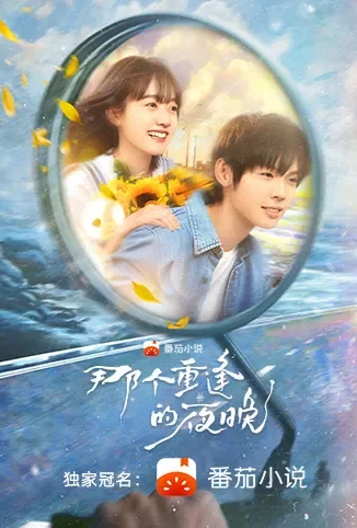 那个重逢的夜晚电视剧海报