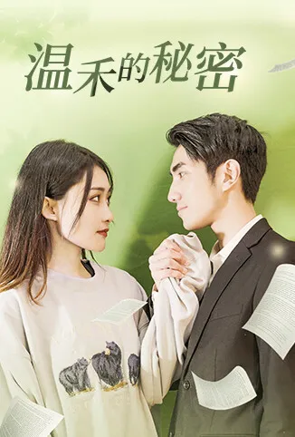 温禾的秘密电视剧海报