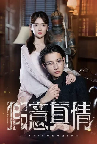 假意真情电视剧海报