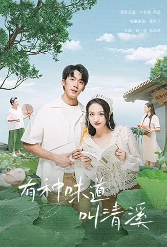 有种味道叫清溪电视剧海报