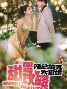 甜蜜攻略：陆总前妻太傲娇