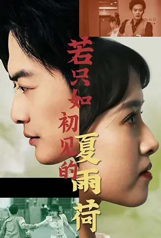 若只如初见的夏雨荷电视剧海报