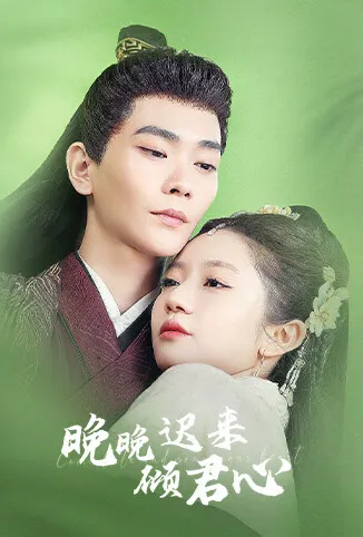 晚晚迟来倾君心电视剧海报