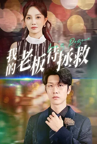 我的老板待拯救电视剧海报