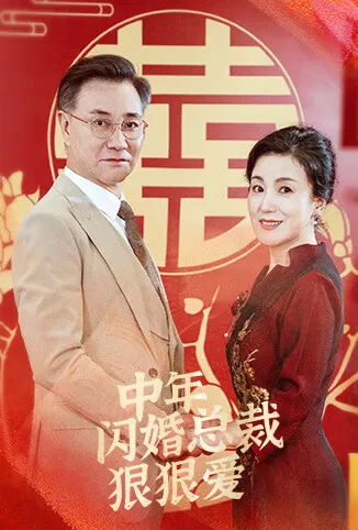 中年闪婚总裁狠狠爱电视剧海报