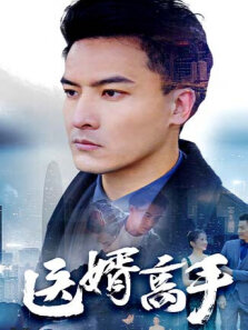 医婿高手