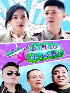 女总裁的神秘老公电视剧海报