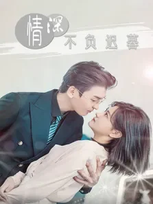 情深不负迟暮电视剧海报