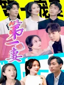 第一宠妻电视剧海报