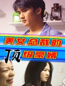 美女总裁的顶级豪婿电视剧海报