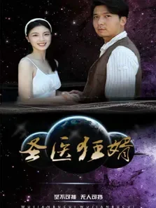 圣医狂婿电视剧海报