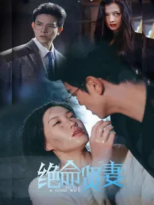 绝命贤妻电视剧海报