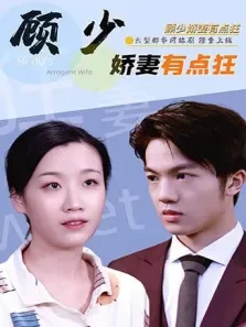 顾少娇妻有点狂电视剧海报