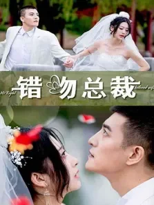 错吻总裁电视剧海报