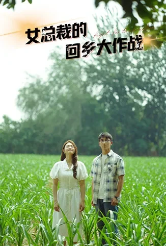 女总裁的回乡大作战电视剧海报