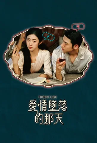 爱情坠落的那天电视剧海报