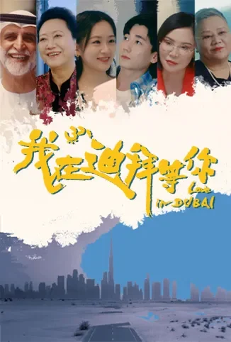 我在迪拜等你电视剧海报