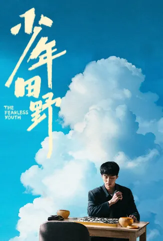 少年田野电视剧海报