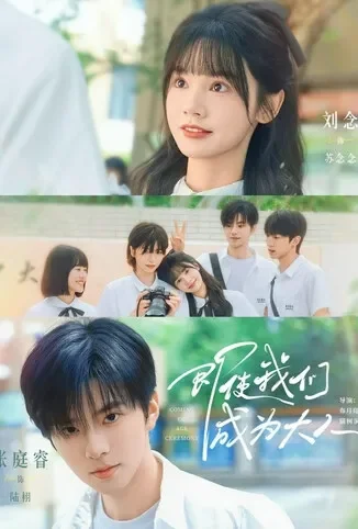 即使我们成为大人电视剧海报
