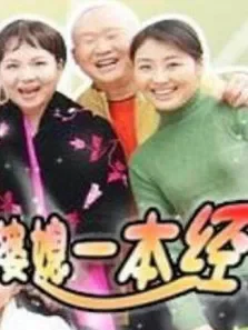 婆媳一本经电视剧海报