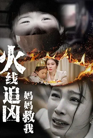 火线追凶：妈妈救我电视剧海报