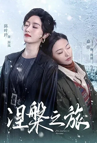 涅槃之旅电视剧海报