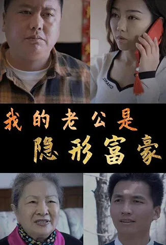 我的老公是隐形富豪电视剧海报