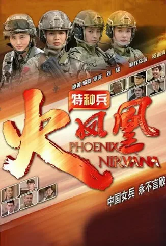特种兵之火凤凰电视剧海报