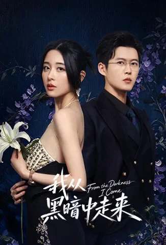 我从黑暗中走来电视剧海报