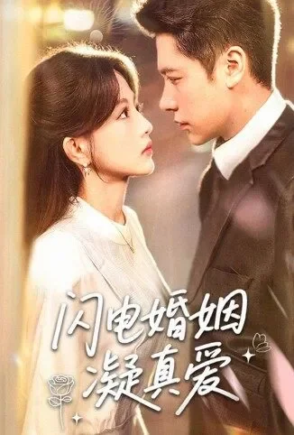 闪电婚姻凝真爱电视剧海报