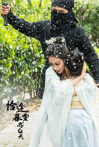 恰逢暮雪亦白头