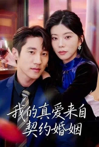 我的真爱来自契约婚姻电视剧海报