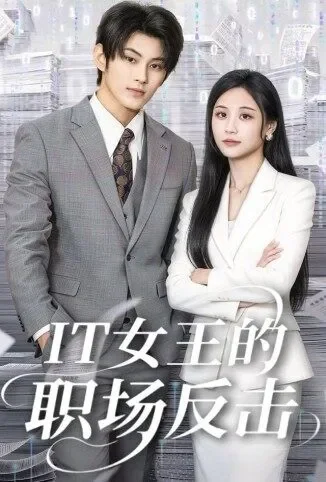 IT女王的职场反击电视剧海报