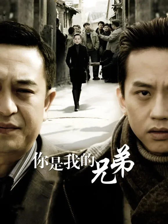 你是我的兄弟电视剧海报