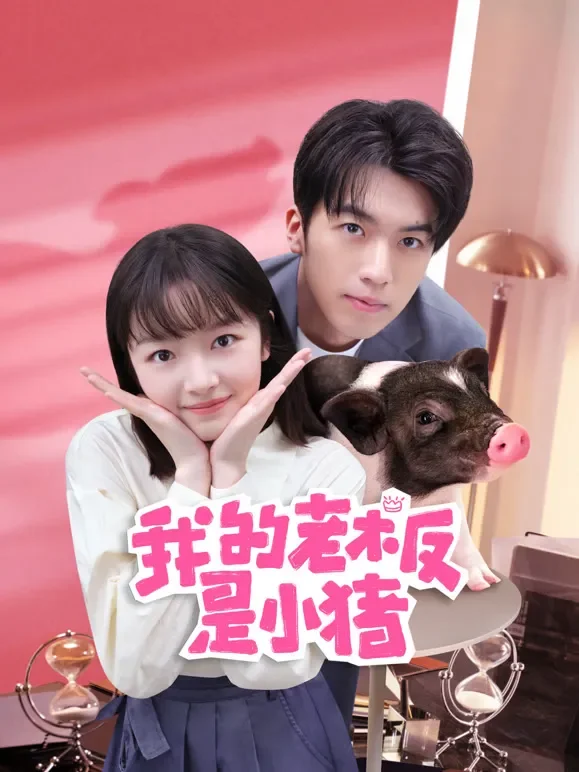 我的老板是小猪电视剧海报