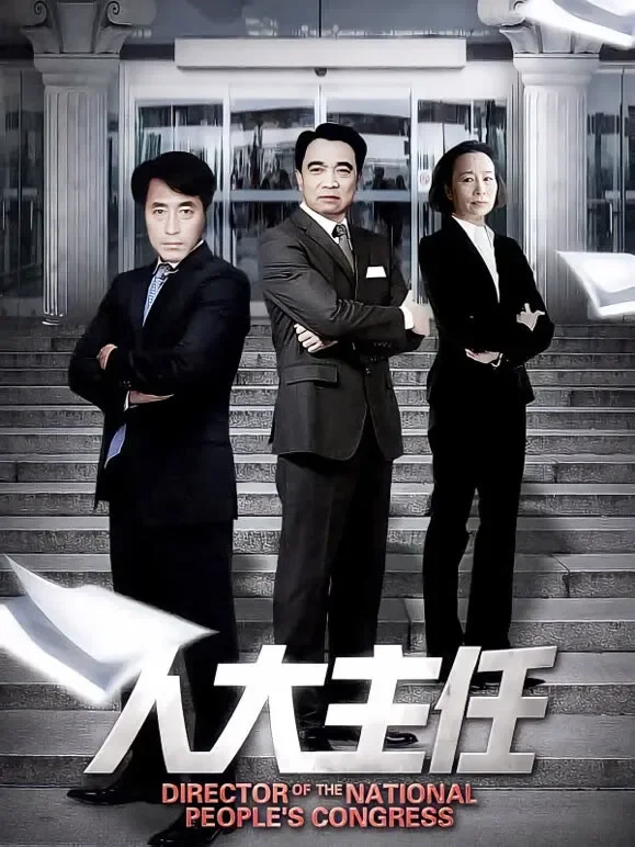 人大主任电视剧海报