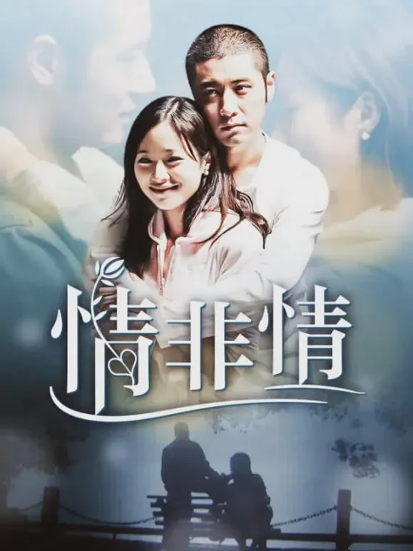 情非情电视剧海报