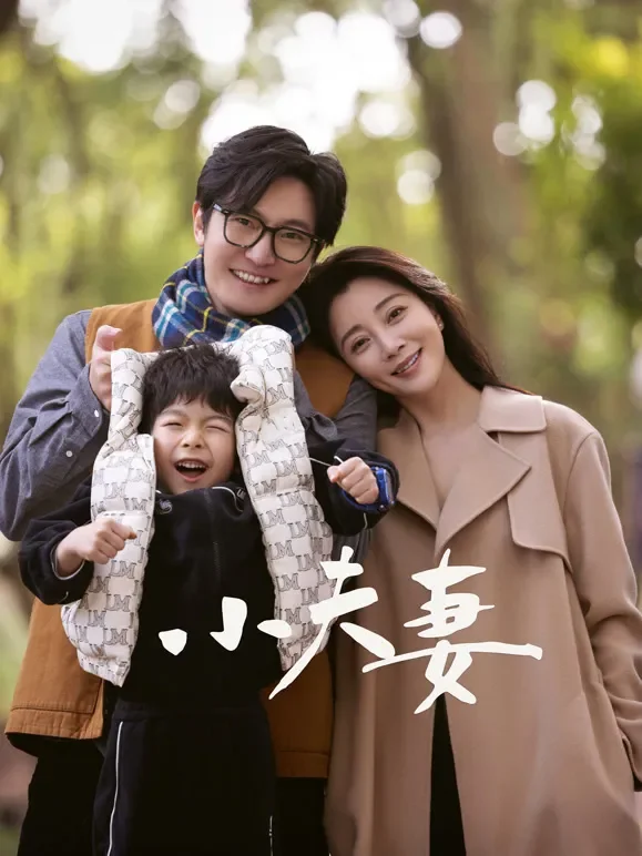 小夫妻电视剧海报