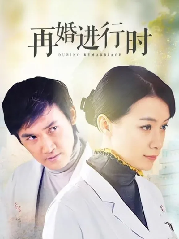 再婚进行时电视剧海报