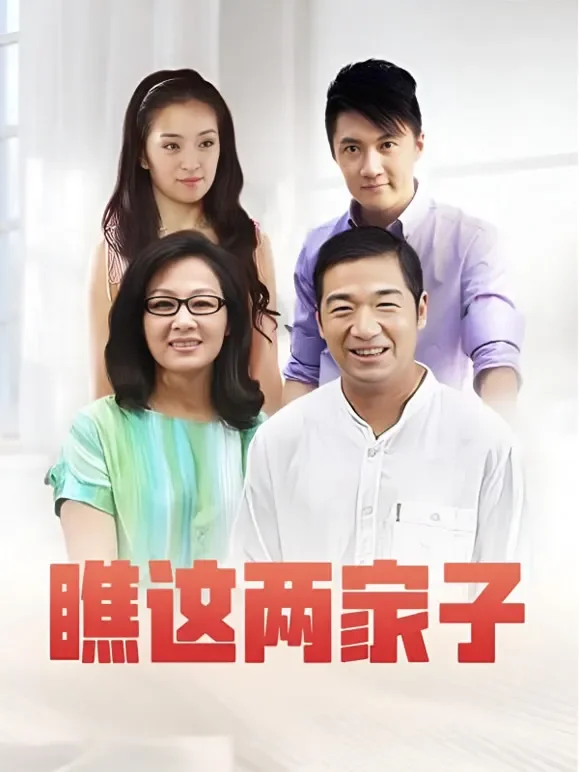 瞧这两家子电视剧海报